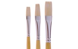 White Bristle Brushes